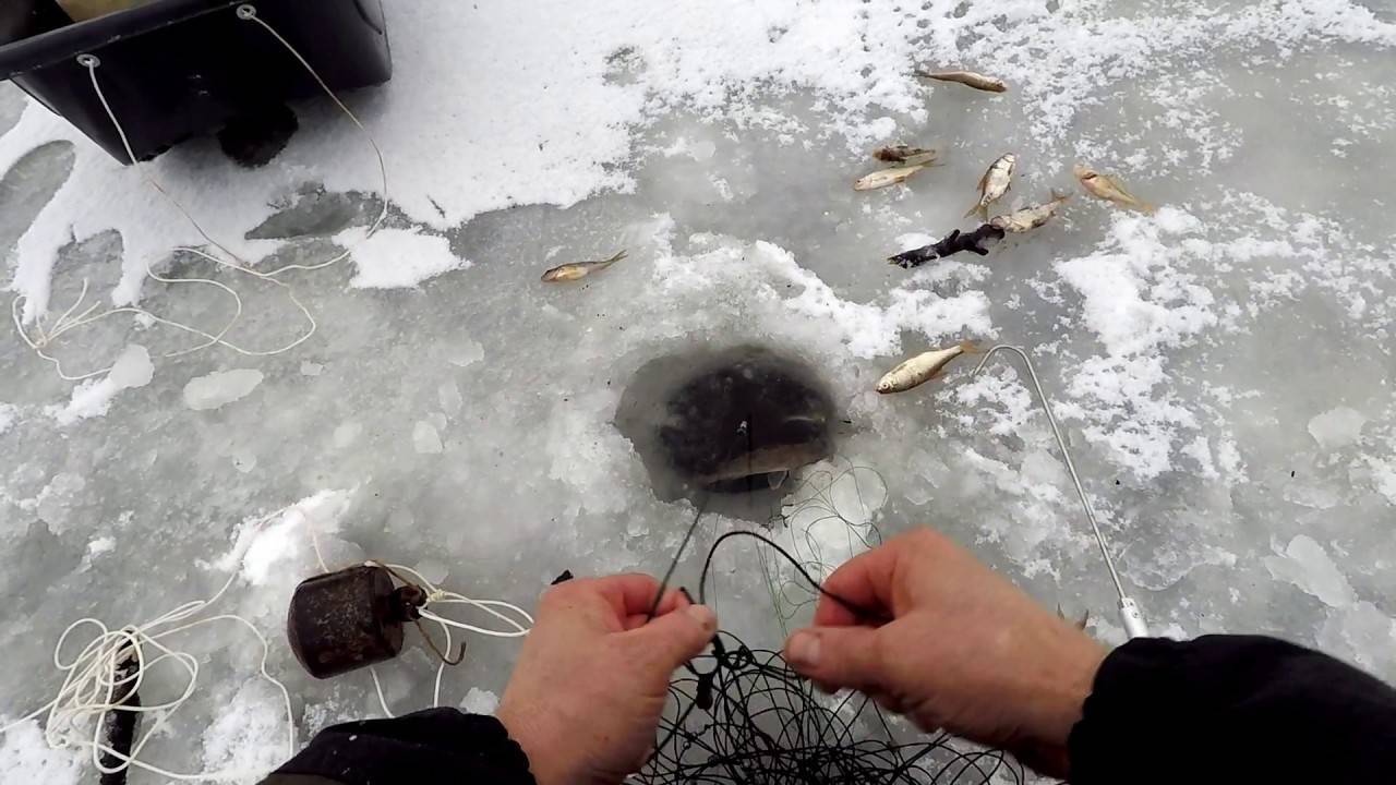 Можно ли зимой ставить. Перемет рыболовный на налима. Зимний продольник на налима. Зимний перемет на налима на течении. Зимняя перетяга на налима.