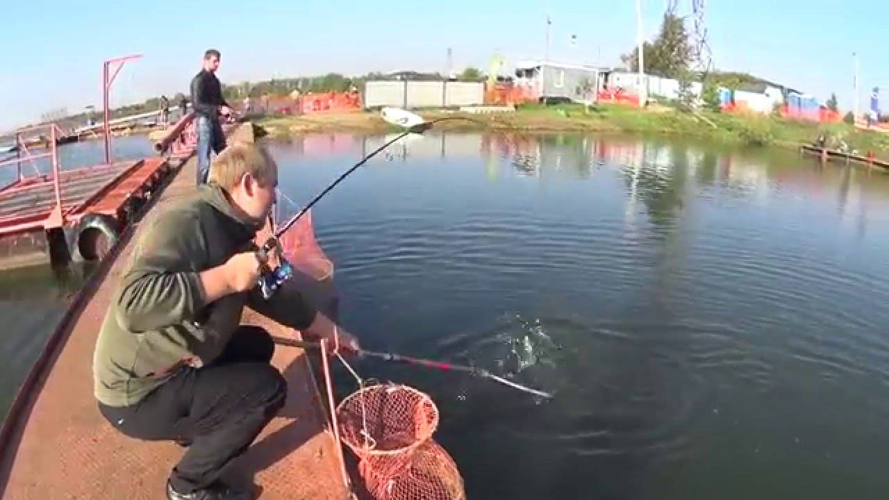Рыбалка на озере бисерово и прилегающих прудах