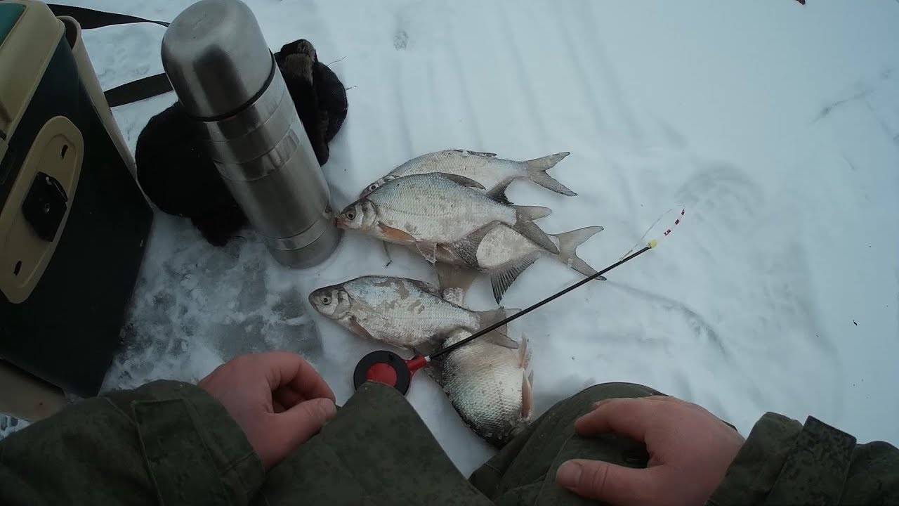 Зимняя рыбалка на леща: снасти для ловли со льда, техника ужения