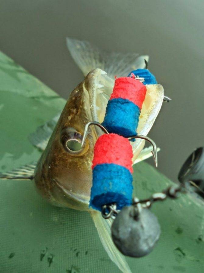 Мандула на судака: как сделать мандулу для рыбалки своими руками - рыболовная снасть для ловли