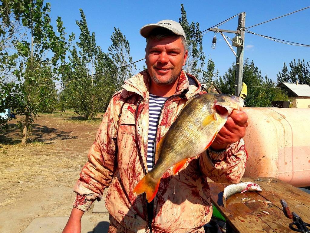 Особенности ловли сазана в сентябре с советами экспертов по выбору мест рыбалки, снасти и прикормки
