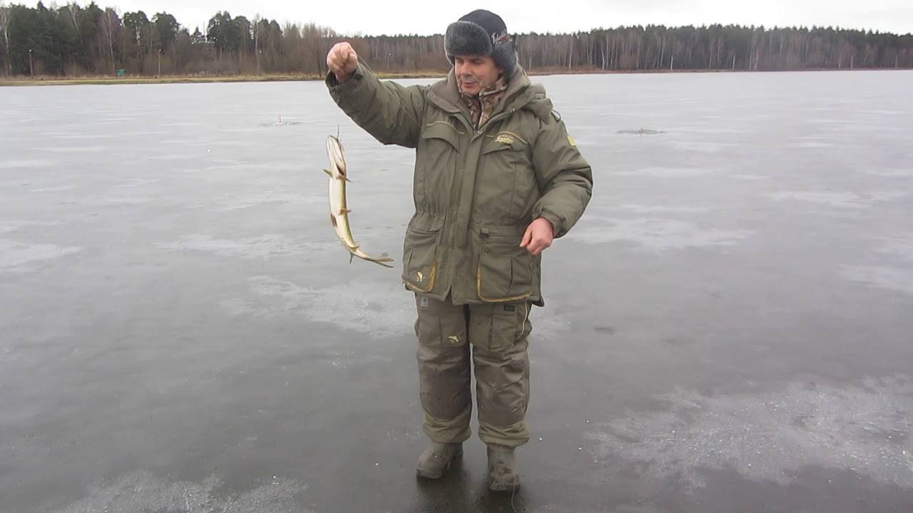 какая рыба водится в москве реке в раменском районе. Смотреть фото какая рыба водится в москве реке в раменском районе. Смотреть картинку какая рыба водится в москве реке в раменском районе. Картинка про какая рыба водится в москве реке в раменском районе. Фото какая рыба водится в москве реке в раменском районе