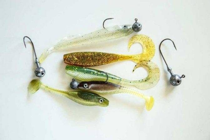 Силиконовые приманки фанатик: описание лучших моделей для ловли хищника