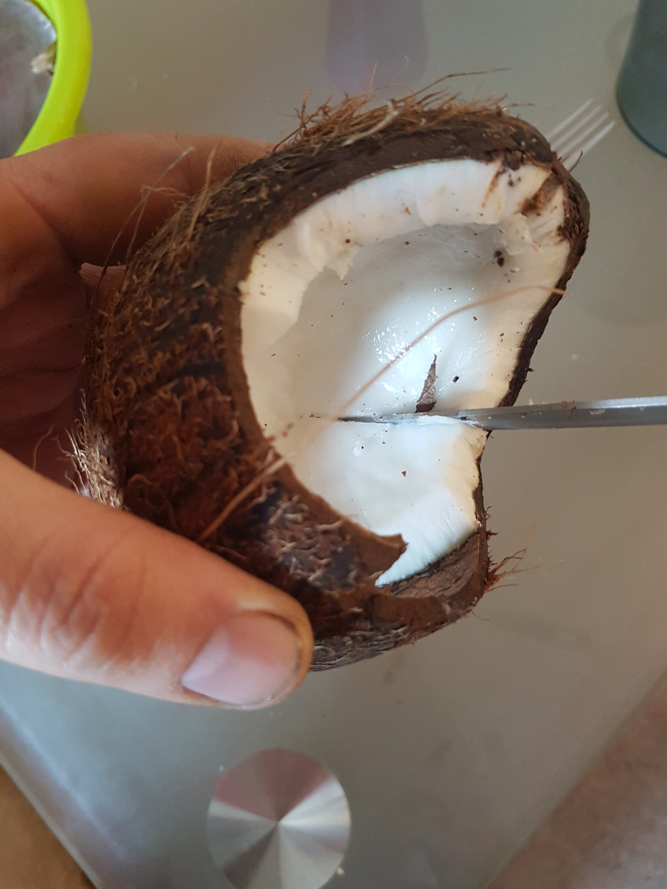 8 удивительных фантазий из скорлупы кокоса, которые украсят дом и дополнят твой образ
