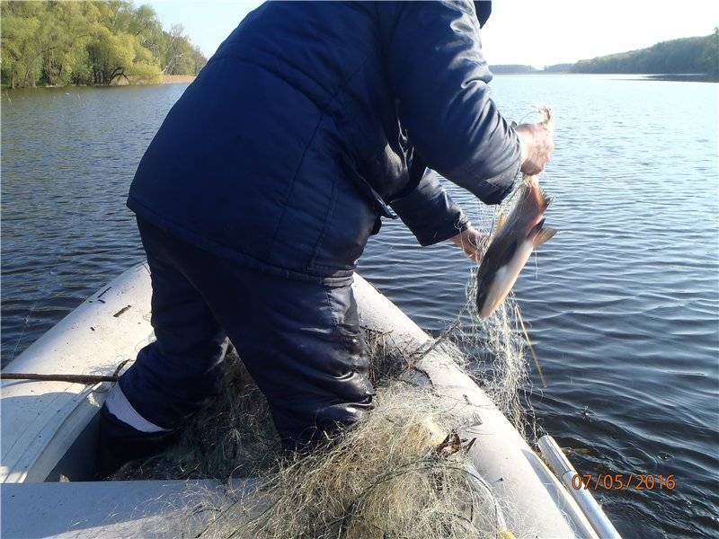 Все о рыбалке в ульяновске и ульяновской области