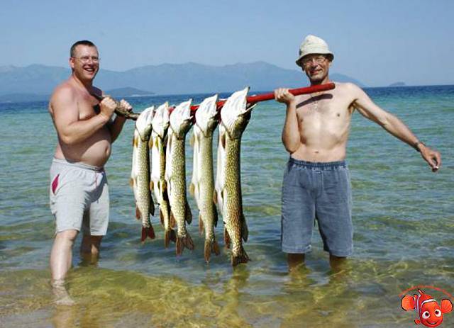 Рыбы байкала - самые популярные и уникальные представители озера (105 фото и видео)