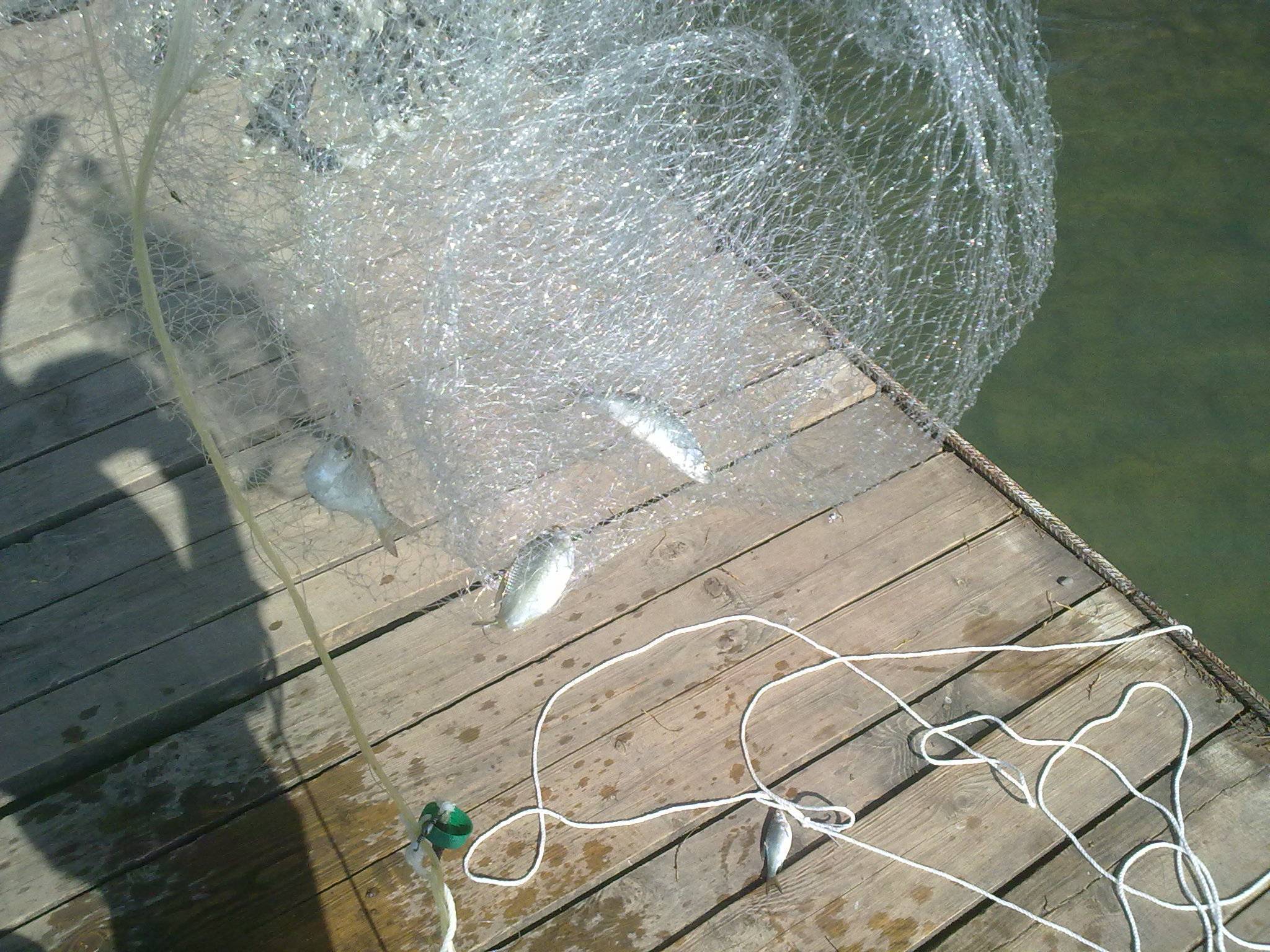 Сплавные сети: рыбалка верховой сетью. как ловить рыболовным сплавом на реке? как сделать правильную оснастку?