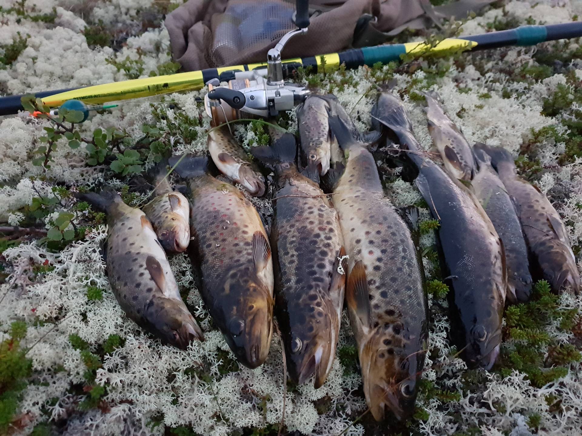 Рыболовные базы краснодарского края — обзор услуг и цен