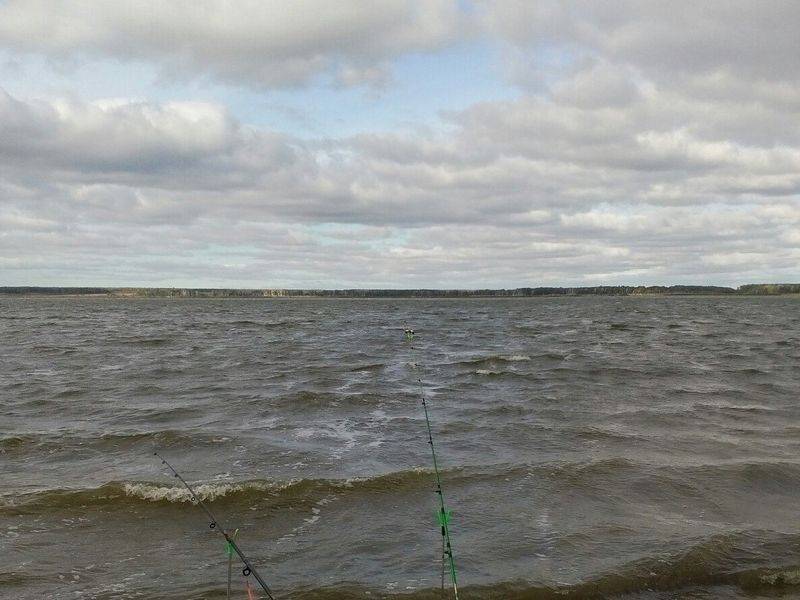 Озеро сунгуль. базы отдыха, рыбалка, отдых на озере, отзывы, погода, как доехать, фото, видео – туристер. ру