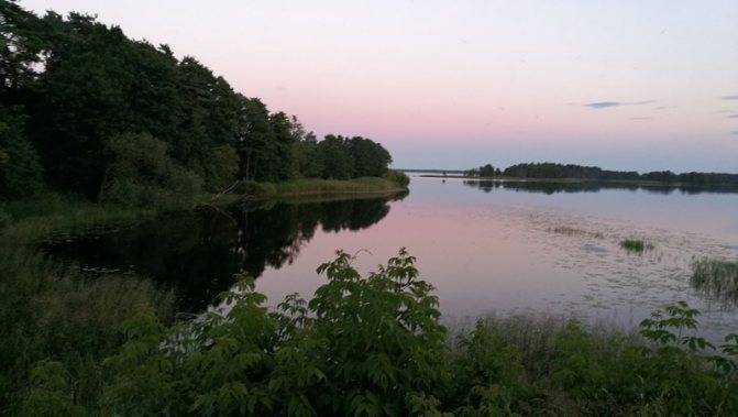 Рыбалка во владимирской области: платная и бесплатная - рыба