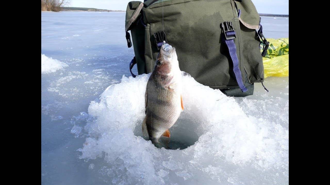 Рыбалка в татарстане зимой и в другие времена года, видео ловли