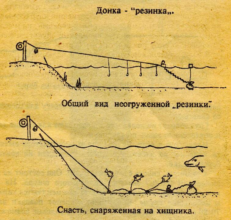 Ловим на донку с резинкой. (секреты рыбалки) - рыбалка на ахтубе с комфортом - база трёхречье