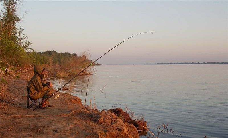 Места для рыбалки в владимирской области – платная и бесплатная рыбалка!