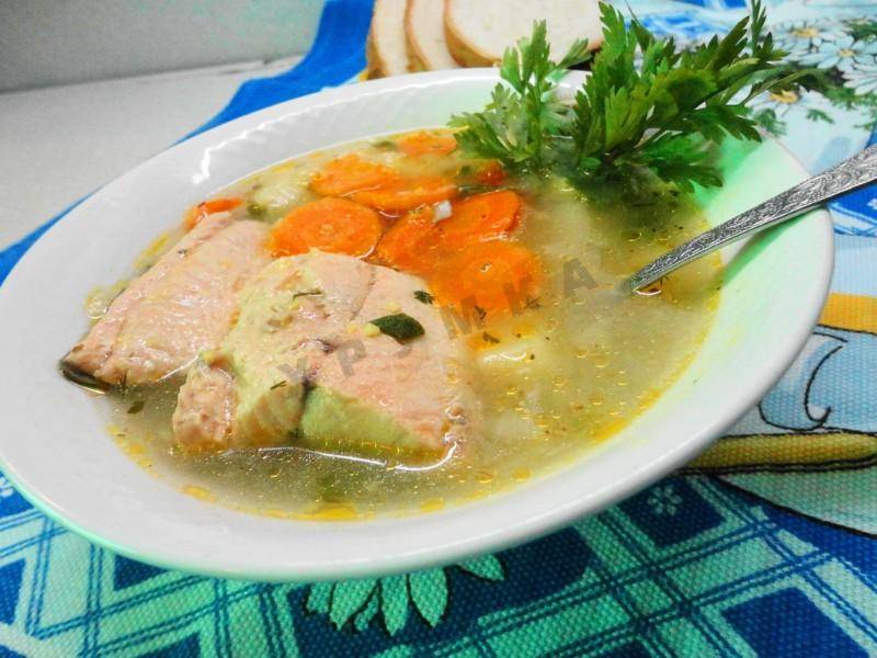 Суп из консервированной горбуши – рецепты приготовления