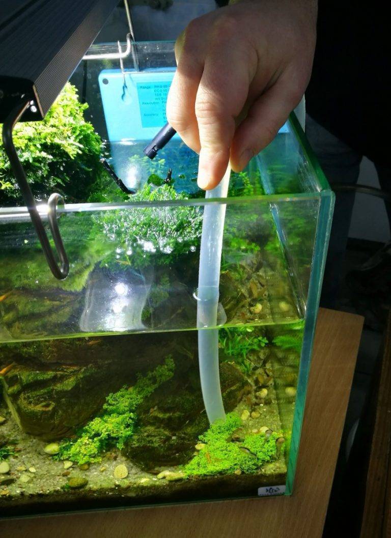 Как почистить небольшой аквариум (с иллюстрациями)
