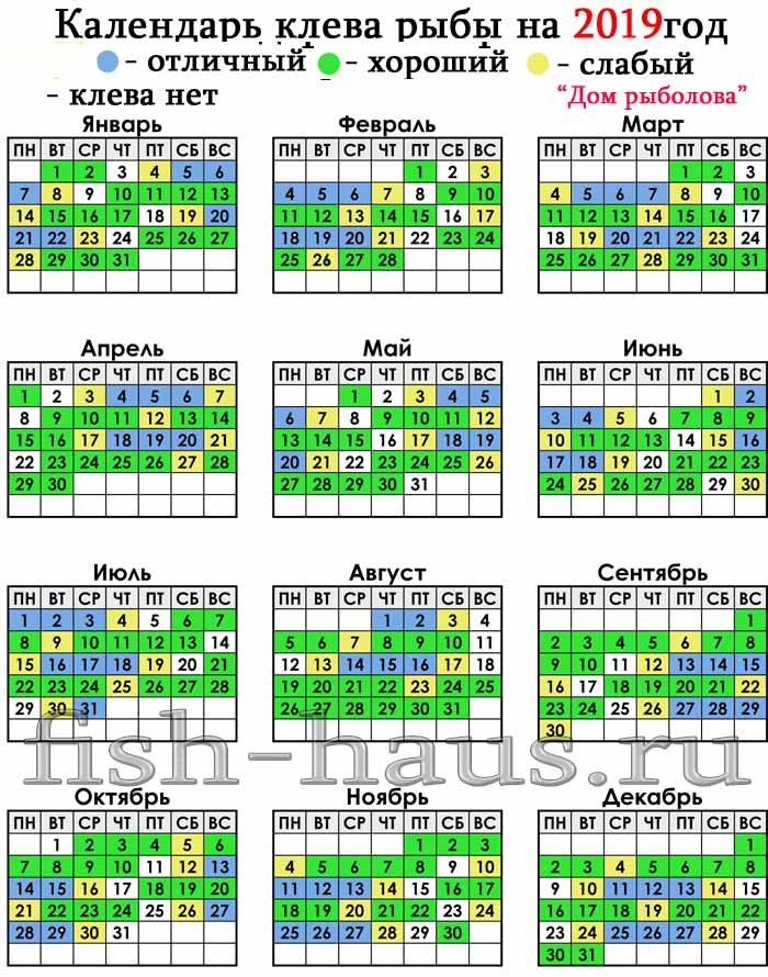 Отчет о рыбалке: 24 марта 2019, волга (горьковское водохранилище)