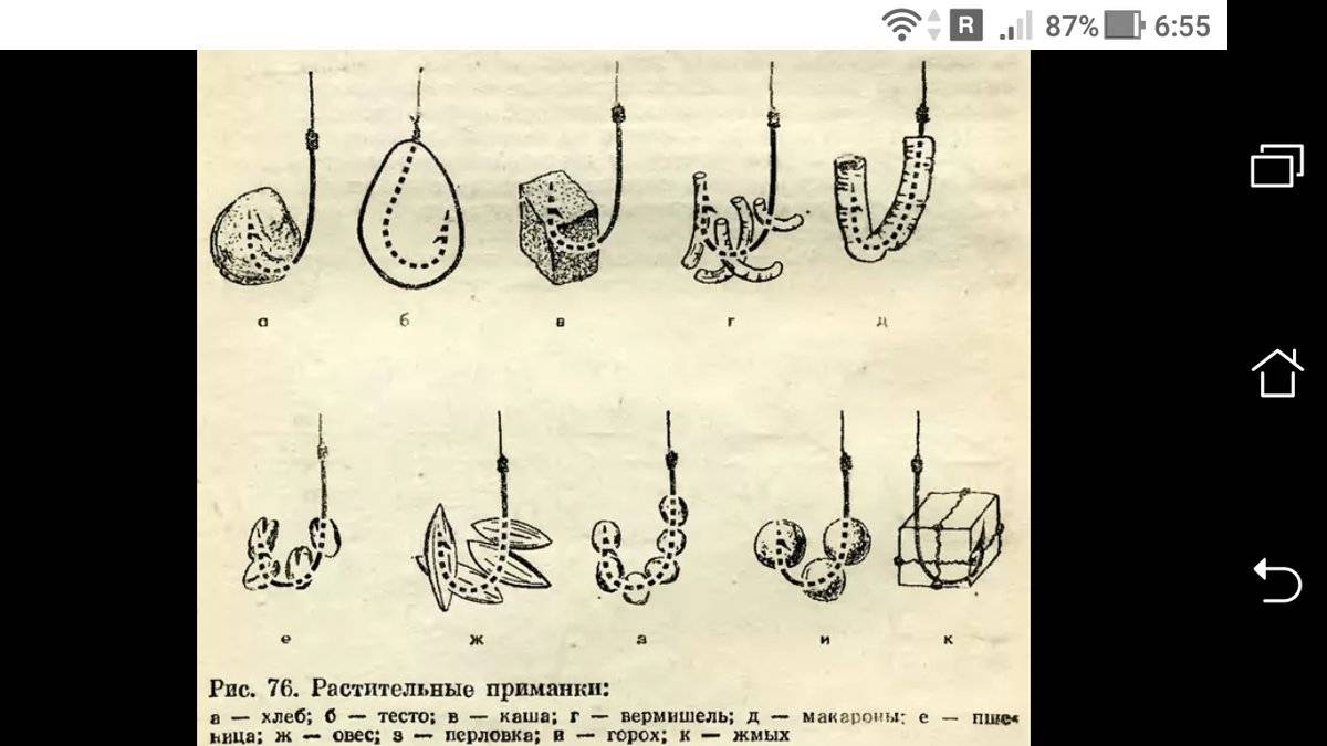 Рецепт теста для рыбалки на леща