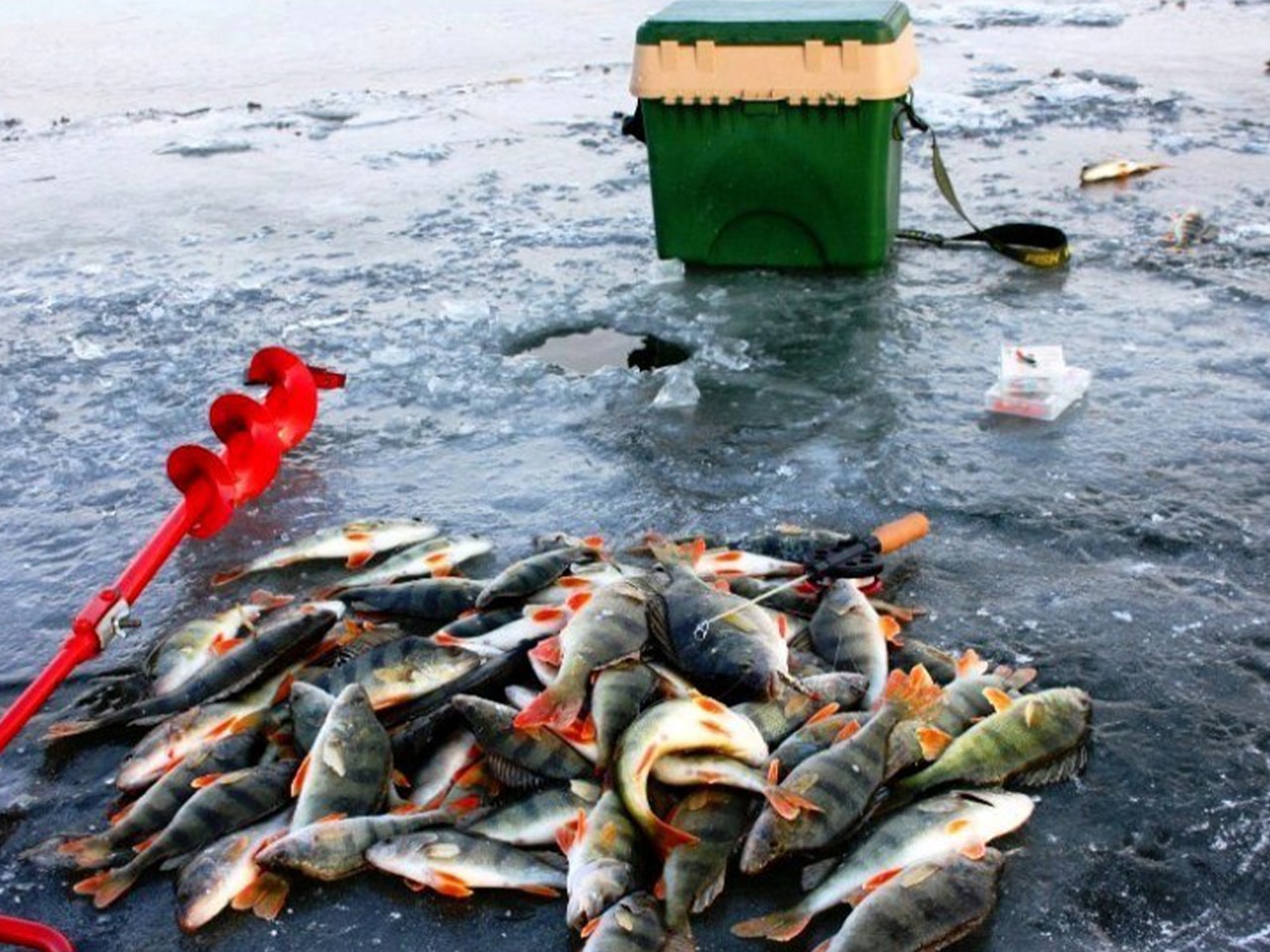 Зимний клев в астрахани: рыбалка в декабре, январе и феврале