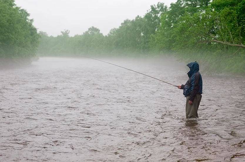Клюет ли рыба в дождь: особенности рыбалки, советы