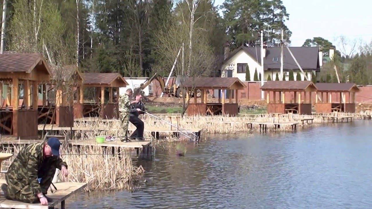 Рыбалка в дмитровском районе - подмосковье, реки, озера, водохранилища и лучшие базы отдыха, отзывы