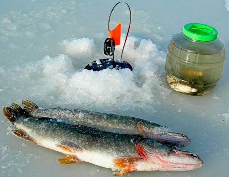 Ловля разных видов рыб по последнему льду - читайте на сatcher.fish