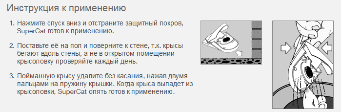 Что положить в мышеловку. Смотреть фото Что положить в мышеловку. Смотреть картинку Что положить в мышеловку. Картинка про Что положить в мышеловку. Фото Что положить в мышеловку