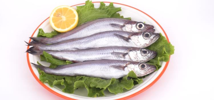 Рыба путассу: калорийность на 100 грамм, польза и вред