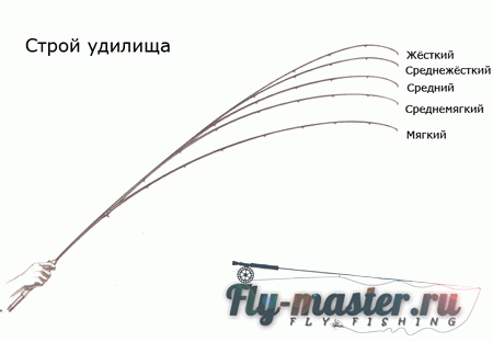 Какой строй выбрать