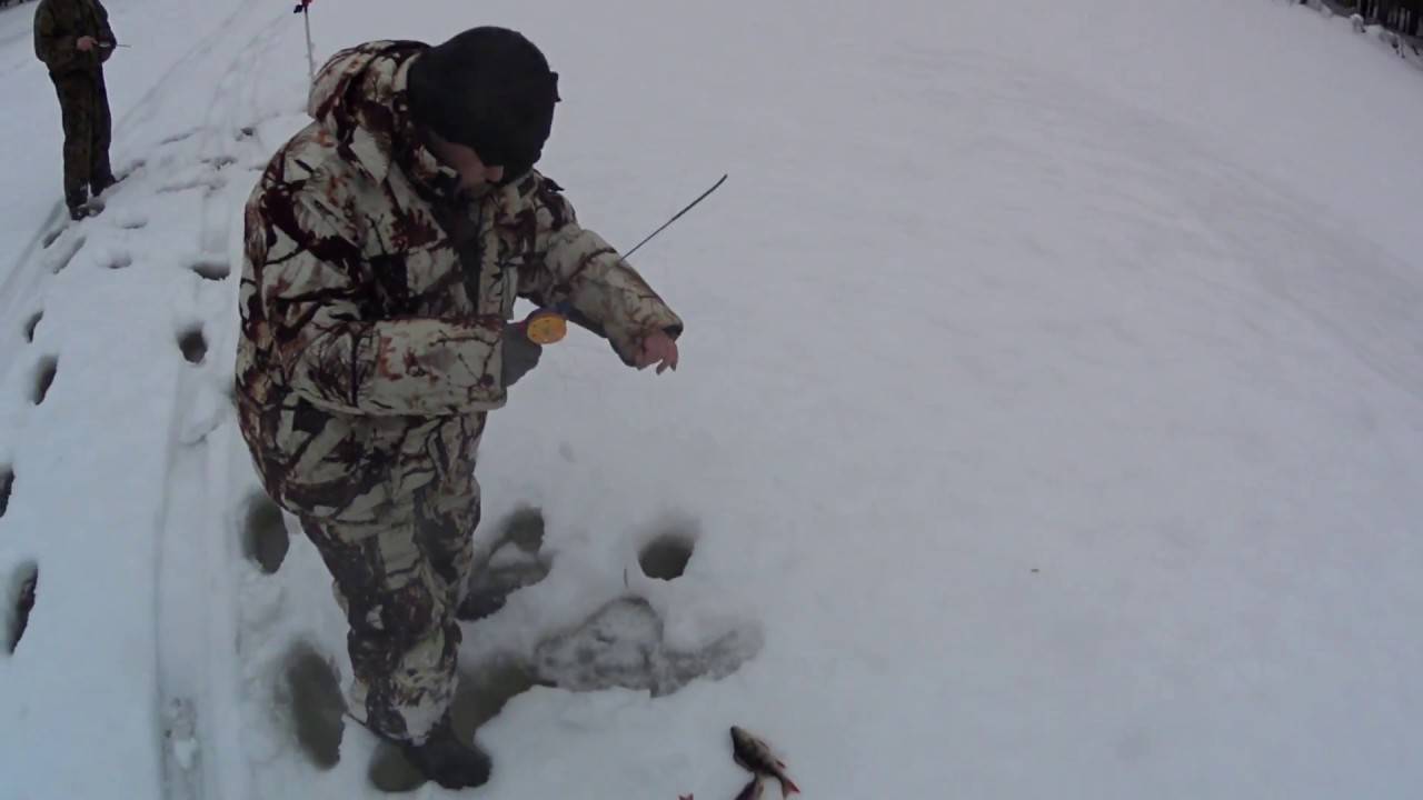 Рыбалка на севере видео. Рыбалка на севере окунь. Рыбалка по первому льду в Республике Коми. Окунь Север зимой.