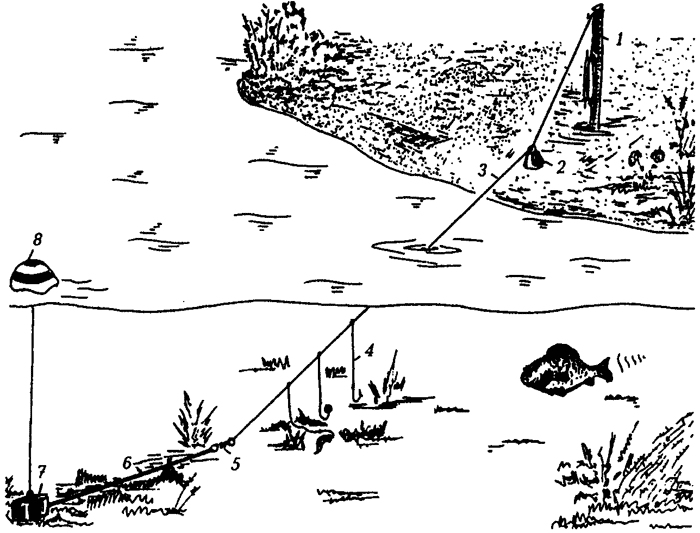 Ловля щуки на поплавок: рыбалка на живца с поплавком