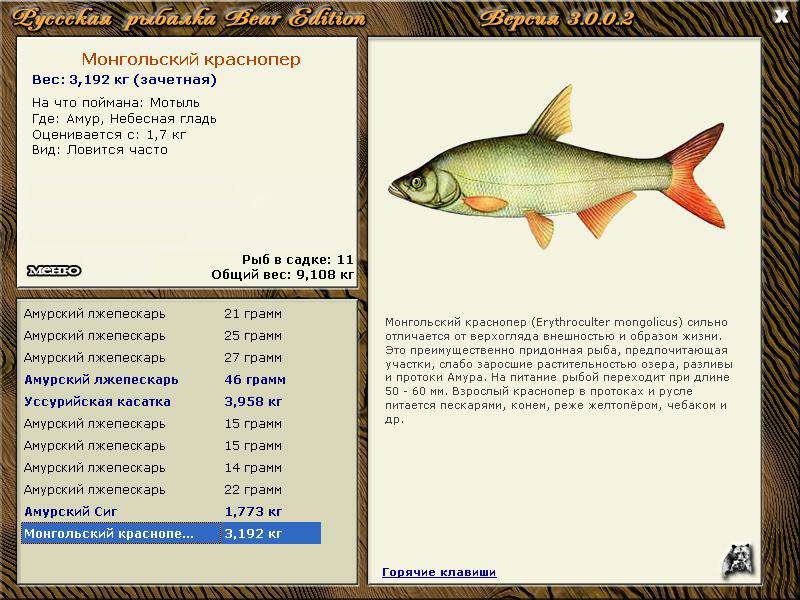 Рыба «барабуля» фото и описание