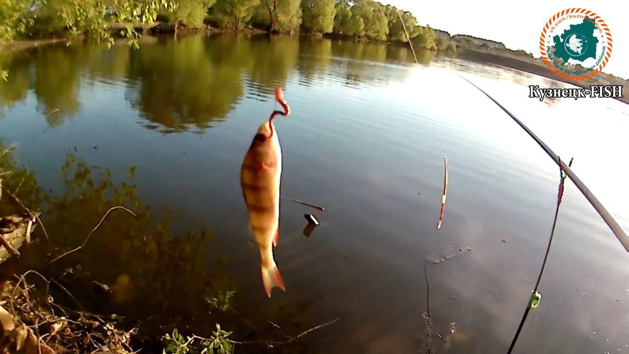 Как ловить окуня летом: на что и чем лучше рыбачить - лучшие снасти и приманки, видео