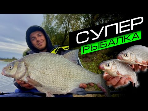 Рыбалка на нарских прудах в асаково: лучшие места для ловли, какая рыба водится