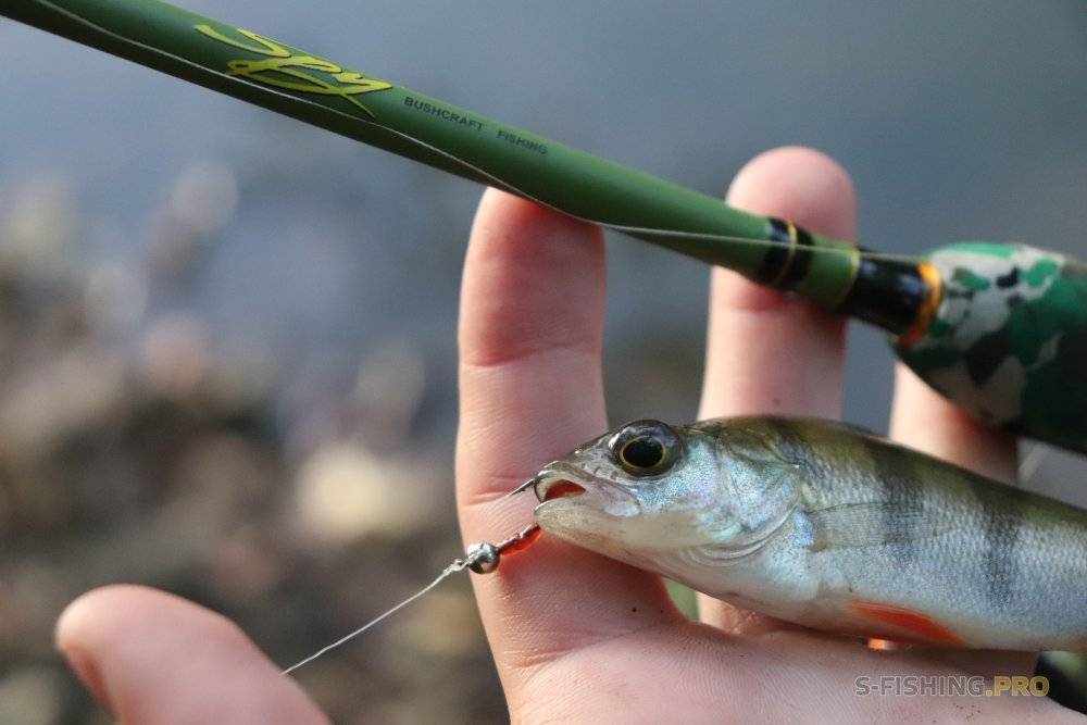 Рыбалка на мормышку летом