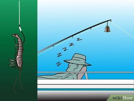 Несколько советов: как подсекать щуку на спиннинг - читайте на сatcher.fish