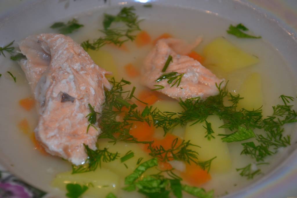 Супы из горбуши — проверенные рецепты. как правильно и вкусно приготовить суп из горбуши.