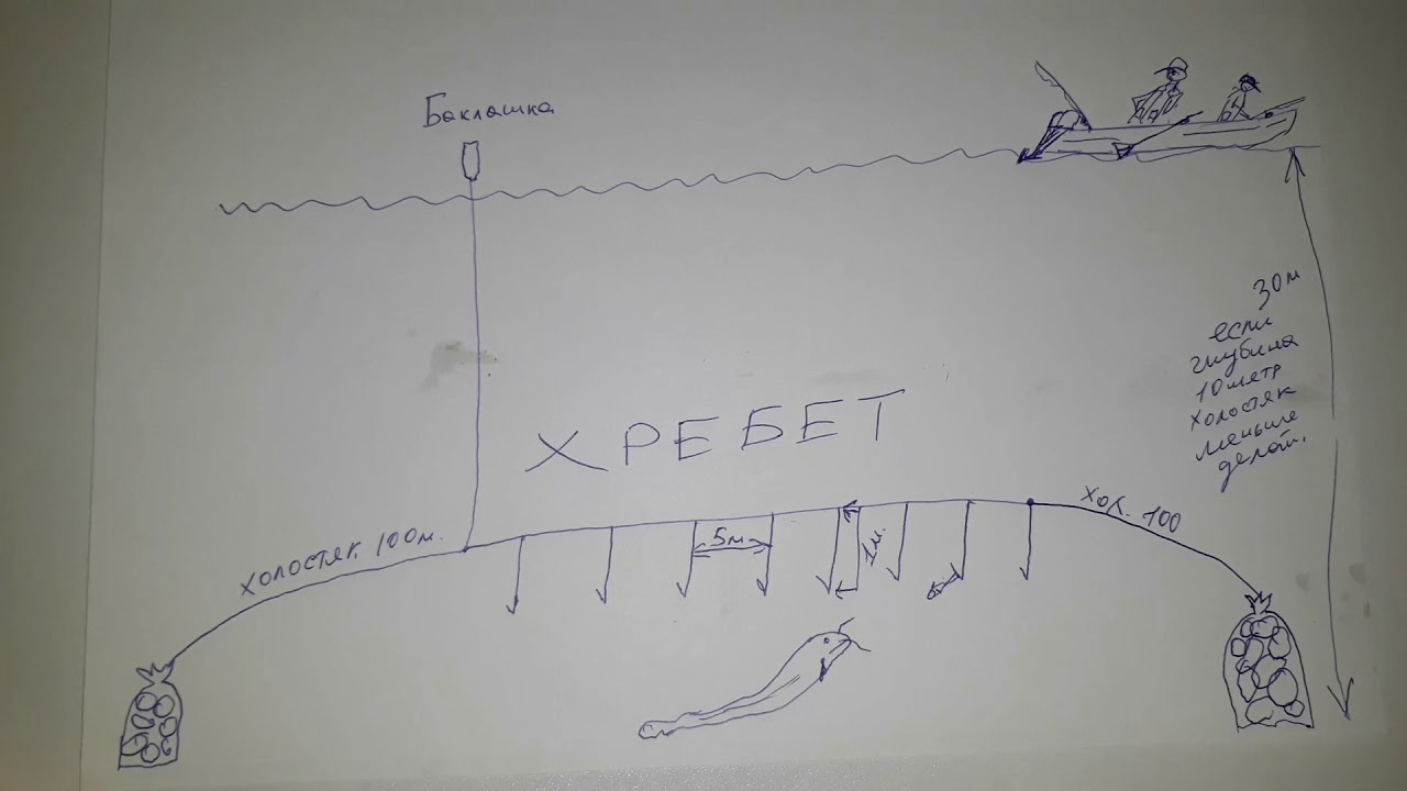 Перемет на сазана своими руками чертежи