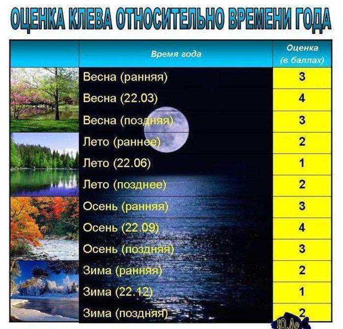 Влияние солнца, луны, погоды на клев рыбы. солнечные и лунные циклы - когда рыба клюет и когда рыба не клюет