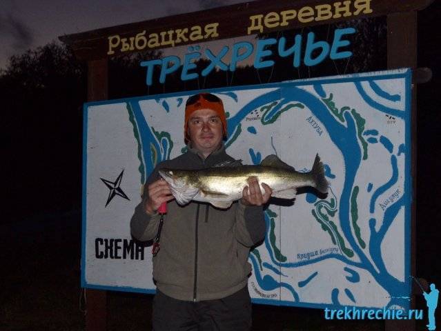 Весенняя ахтуба - ловля судака на живца в апреле - рыбалка на ахтубе с комфортом - база трёхречье