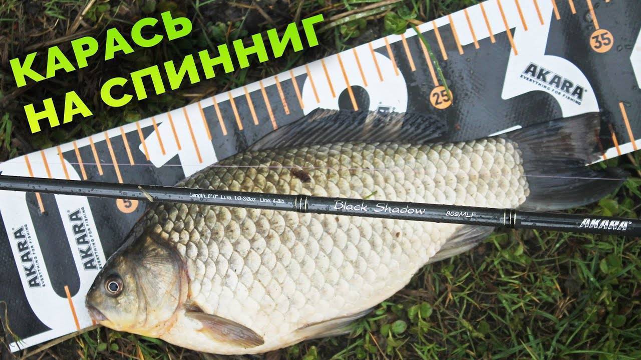 Ловля крупного ротана. как отсечь поклевки мелочи. секретная наживка - мясо
