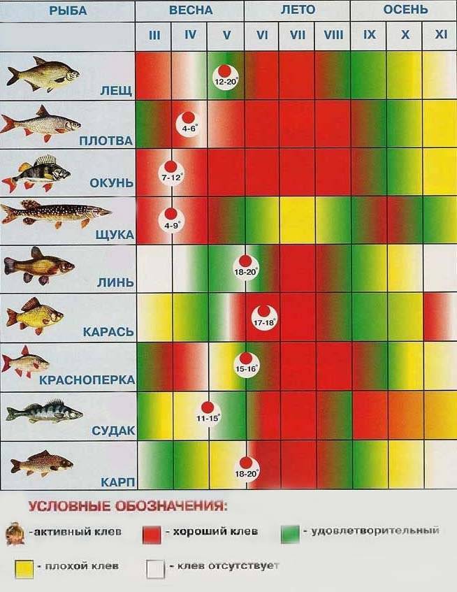 при каком давлении можно ловить рыбу летом