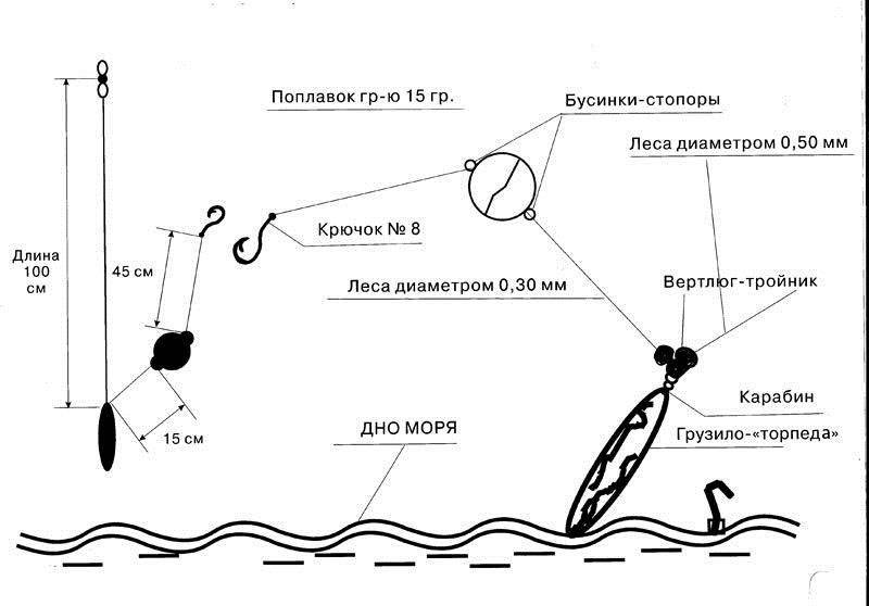 Три способа поймать кавказскую форель - спортивное рыболовство