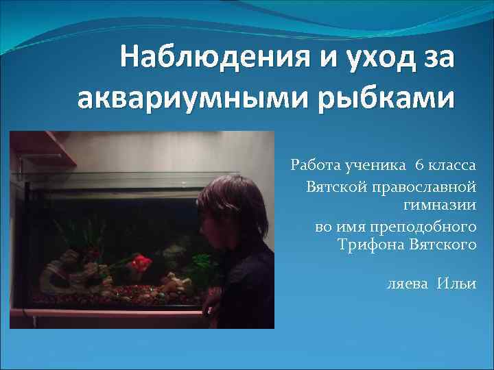 Как ухаживать за рыбками в аквариуме в домашних условиях для начинающих пошагово с фото