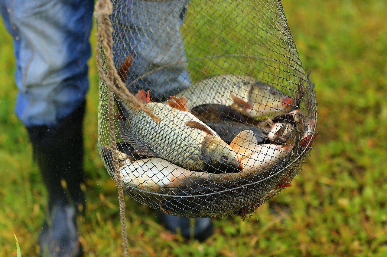 Рыбалка в витебске и витебской области