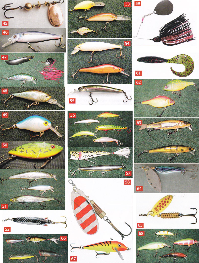 Наживки для рыбалки, их виды и особенности