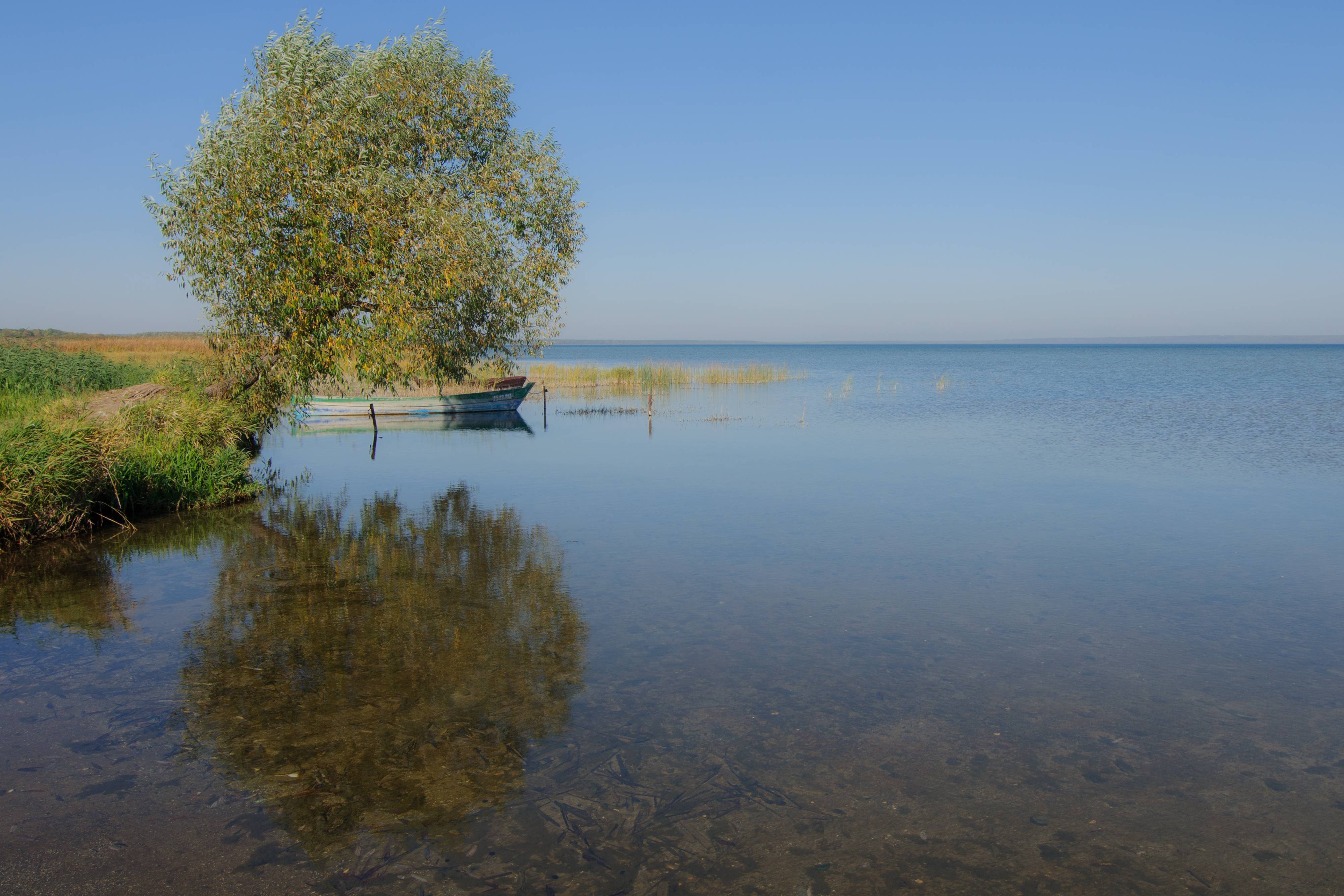 рыба в озере плещеево