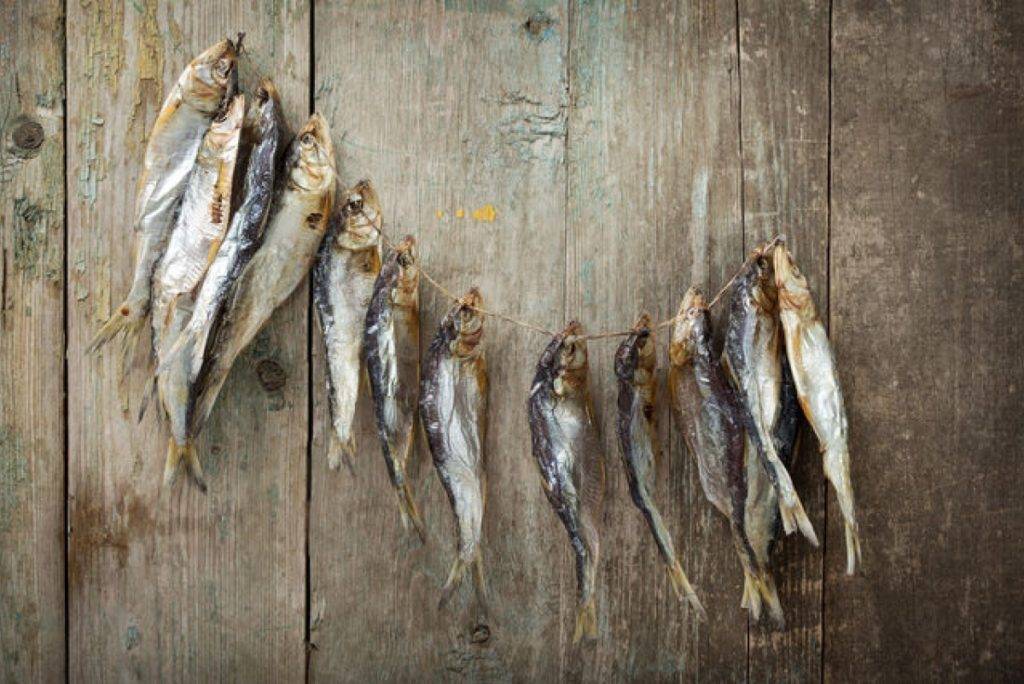 Как хранить рыбу: сушеную, вяленую чтобы не пересохла, в холодильнике