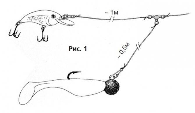 Эффективная ловля щуки на джиг: верная тактика проводки и снасть