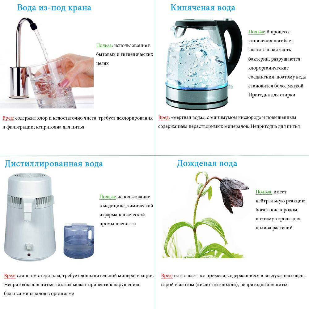 Кипячёная вода: польза и вред, правила питья и хранения жидкости в домашних условиях