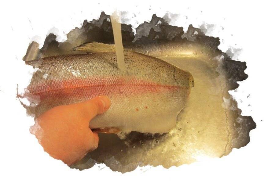 Быстро разморозить рыбу легко: 8 нестандартных способов